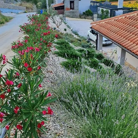 Brand New Villa Cara D Oro, Vrana Vrana  Exterior foto