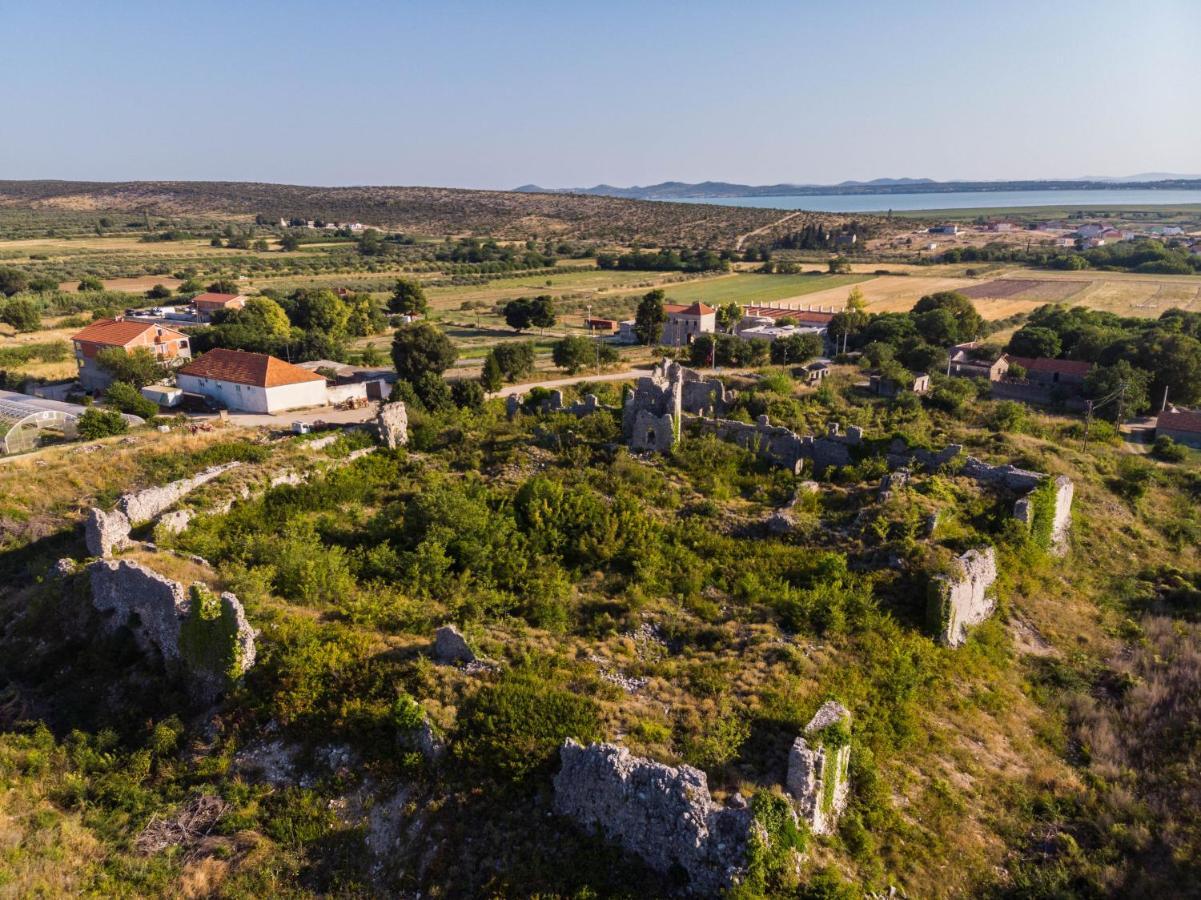 Brand New Cara D Oro, Vrana